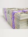 $100,000, 50 Stacks Bundle of 20s (New Style)