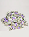 $100,000, 50 Stacks Bundle of 20s (New Style)